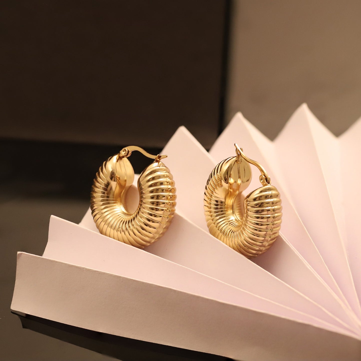 Halo Crest Hoops 18K Gold PVD Earrings
